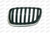 PRASCO BM8202024 Radiator Grille